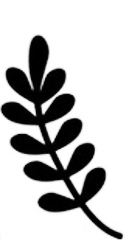 leaf 2