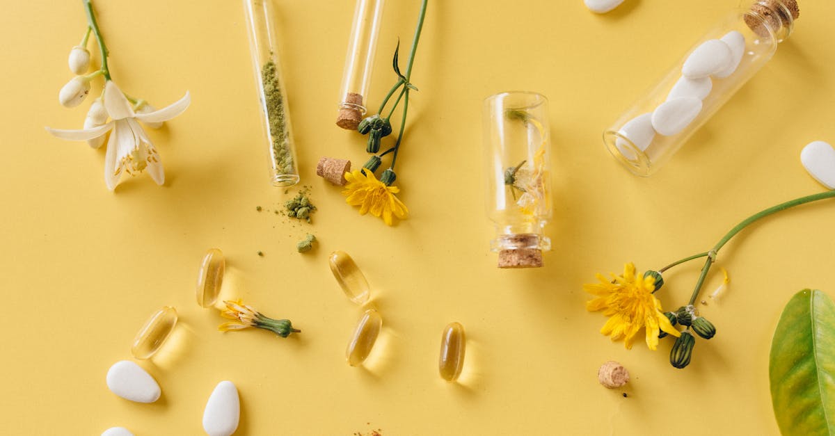 An arrangement of medicinal herbs, pills, and flowers on a vibrant yellow surface, highlighting natural healthcare.